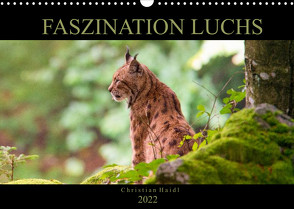 Faszination Luchs (Wandkalender 2022 DIN A3 quer) von www.chphotography.de