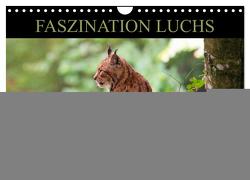 Faszination Luchs (Wandkalender 2024 DIN A4 quer), CALVENDO Monatskalender von www.chphotography.de,  www.chphotography.de