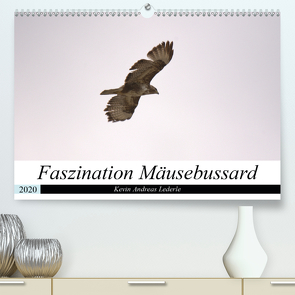 Faszination Mäusebussard (Premium, hochwertiger DIN A2 Wandkalender 2020, Kunstdruck in Hochglanz) von Andreas Lederle,  Kevin