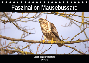 Faszination Mäusebussard (Tischkalender 2021 DIN A5 quer) von Andreas Lederle,  Kevin