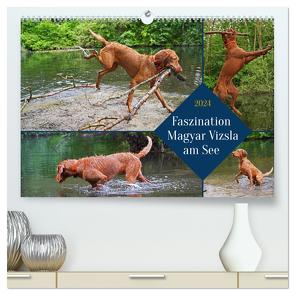 Faszination Magyar Vizsla am See (hochwertiger Premium Wandkalender 2024 DIN A2 quer), Kunstdruck in Hochglanz von Paul - Babett's Bildergalerie,  Babett