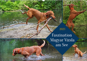 Faszination Magyar Vizsla am See (Wandkalender 2023 DIN A2 quer) von Paul - Babett's Bildergalerie,  Babett