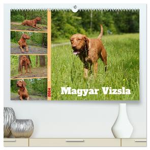 Faszination Magyar Vizsla (hochwertiger Premium Wandkalender 2024 DIN A2 quer), Kunstdruck in Hochglanz von Paul - Babett's Bildergalerie,  Babett