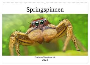 Faszination Makrofotografie: Springspinnen (Wandkalender 2024 DIN A2 quer), CALVENDO Monatskalender von Mett Photography,  Alexander