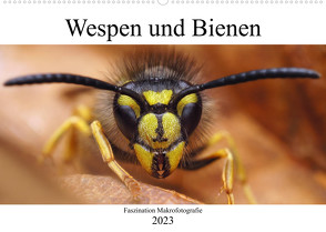 Faszination Makrofotografie: Wespen und Bienen (Wandkalender 2023 DIN A2 quer) von Mett Photography,  Alexander