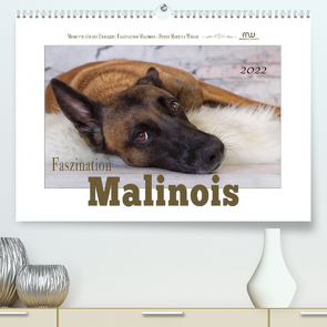 Faszination Malinois (Premium, hochwertiger DIN A2 Wandkalender 2022, Kunstdruck in Hochglanz) von Wrede,  Martina