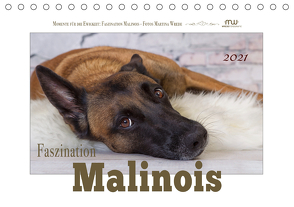 Faszination Malinois (Tischkalender 2021 DIN A5 quer) von Wrede,  Martina