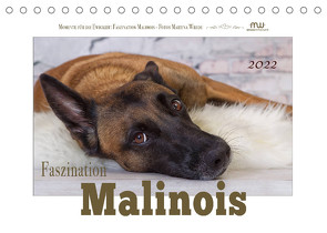 Faszination Malinois (Tischkalender 2022 DIN A5 quer) von Wrede,  Martina