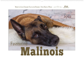 Faszination Malinois (Wandkalender 2022 DIN A2 quer) von Wrede,  Martina