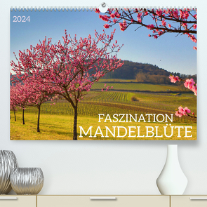 FASZINATION MANDELBLÜTE (hochwertiger Premium Wandkalender 2024 DIN A2 quer), Kunstdruck in Hochglanz von Fillinger,  Sulamay