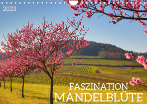 FASZINATION MANDELBLÜTE (Wandkalender 2023 DIN A4 quer) von Fillinger,  Sulamay