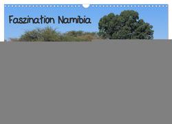 Faszination Namibia – Oldtimer mal anders (Wandkalender 2024 DIN A3 quer), CALVENDO Monatskalender von liliwe,  liliwe