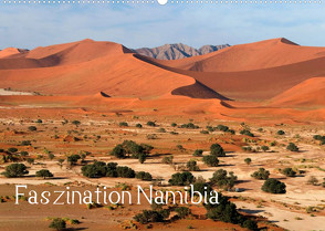 Faszination Namibia (Wandkalender 2022 DIN A2 quer) von Scholz,  Frauke