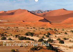 Faszination Namibia (Wandkalender 2022 DIN A3 quer) von Scholz,  Frauke