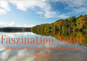 Faszination Natur – Bilder aus Mecklenburg-Vorpommern (Wandkalender 2023 DIN A2 quer) von Pipping,  Ulf