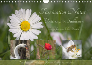 Faszination Natur Unterwegs in Südhessen (Wandkalender 2023 DIN A4 quer) von von Klaus Dietrich,  Klaus54Fotos