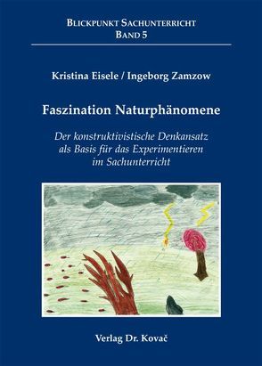 Faszination Naturphänomene von Eisele,  Kristina, Zamzow,  Ingeborg