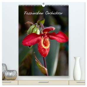 Faszination Orchideen (hochwertiger Premium Wandkalender 2024 DIN A2 hoch), Kunstdruck in Hochglanz von Rix,  Veronika