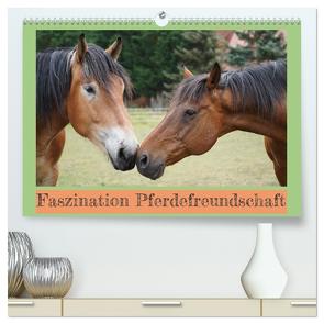 Faszination Pferdefreundschaft (hochwertiger Premium Wandkalender 2024 DIN A2 quer), Kunstdruck in Hochglanz von Paul - Babett's Bildergalerie,  Babett