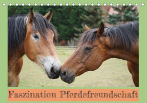 Faszination Pferdefreundschaft (Tischkalender 2023 DIN A5 quer) von Paul - Babett's Bildergalerie,  Babett