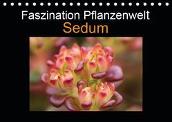 Faszination Pflanzenwelt – Sedum (Tischkalender 2019 DIN A5 quer) von Rix,  Veronika