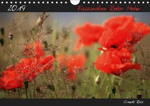 Faszination Roter Mohn (Wandkalender 2019 DIN A4 quer) von Ries,  Claude