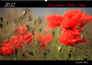 Faszination Roter Mohn (Wandkalender 2022 DIN A2 quer) von Ries,  Claude