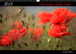 Faszination Roter Mohn (Wandkalender 2023 DIN A3 quer) von Ries,  Claude