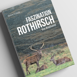 Faszination Rothirsch von Schenk,  Benno