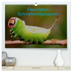 Faszination Schmetterlingsraupen (hochwertiger Premium Wandkalender 2024 DIN A2 quer), Kunstdruck in Hochglanz von Erlwein,  Winfried