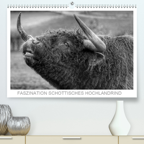 Faszination Schottisches Hochlandrind (Premium, hochwertiger DIN A2 Wandkalender 2021, Kunstdruck in Hochglanz) von Sprengelmeyer,  Sigrid