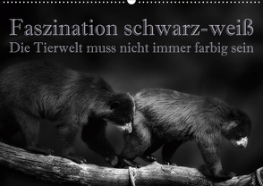 Faszination schwarz-weiß – Die Tierwelt muss nicht immer farbig sein (Wandkalender 2021 DIN A2 quer) von Swierczyna,  Eleonore