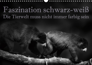 Faszination schwarz-weiß – Die Tierwelt muss nicht immer farbig sein (Wandkalender 2021 DIN A3 quer) von Swierczyna,  Eleonore