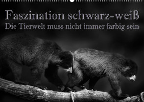 Faszination schwarz-weiß – Die Tierwelt muss nicht immer farbig sein (Wandkalender 2022 DIN A2 quer) von Swierczyna,  Eleonore