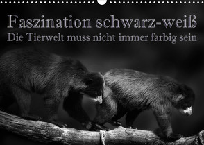 Faszination schwarz-weiß – Die Tierwelt muss nicht immer farbig sein (Wandkalender 2022 DIN A3 quer) von Swierczyna,  Eleonore