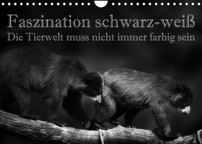 Faszination schwarz-weiß – Die Tierwelt muss nicht immer farbig sein (Wandkalender 2022 DIN A4 quer) von Swierczyna,  Eleonore