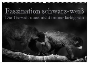 Faszination schwarz-weiß – Die Tierwelt muss nicht immer farbig sein (Wandkalender 2024 DIN A2 quer), CALVENDO Monatskalender von Swierczyna,  Eleonore