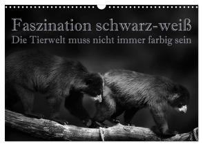 Faszination schwarz-weiß – Die Tierwelt muss nicht immer farbig sein (Wandkalender 2024 DIN A3 quer), CALVENDO Monatskalender von Swierczyna,  Eleonore