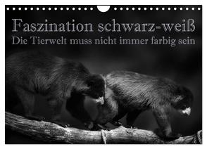 Faszination schwarz-weiß – Die Tierwelt muss nicht immer farbig sein (Wandkalender 2024 DIN A4 quer), CALVENDO Monatskalender von Swierczyna,  Eleonore