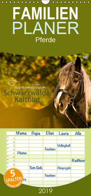 Faszination Schwarzwälder Kaltblut – Familienplaner hoch (Wandkalender 2019 , 21 cm x 45 cm, hoch) von HomSi-Fotos