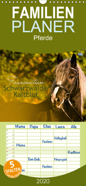 Faszination Schwarzwälder Kaltblut – Familienplaner hoch (Wandkalender 2020 , 21 cm x 45 cm, hoch) von HomSi-Fotos