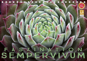 Faszination Sempervivum (Tischkalender 2020 DIN A5 quer) von Cross,  Martina