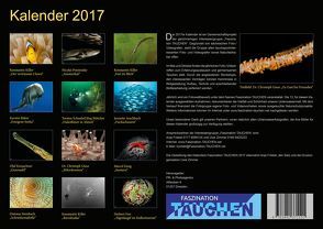 Faszination TAUCHEN – Unterwasserfoto-Wandkalender 2017 von Aeschbach,  Jeanette, Büker,  Kerstin, Dr. Giese,  Christoph, Einig,  Marcel, Frei,  Herbert, Killer,  Konstantin, Kreuschner,  Olaf, Posininsky,  Nicolai, Schnabel,  Torsten, Steinbach,  Dietmar, Zimmer,  Uwe