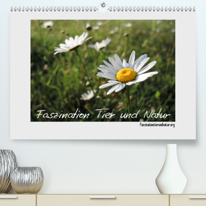 Faszination Tier und Natur (Premium, hochwertiger DIN A2 Wandkalender 2021, Kunstdruck in Hochglanz) von Harmelink,  Henning