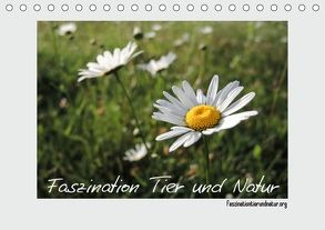 Faszination Tier und Natur (Tischkalender 2018 DIN A5 quer) von Harmelink,  Henning