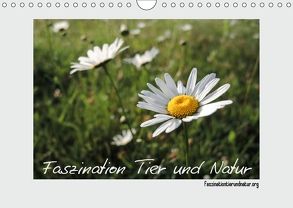 Faszination Tier und Natur (Wandkalender 2018 DIN A4 quer) von Harmelink,  Henning