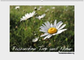 Faszination Tier und Natur (Wandkalender 2019 DIN A2 quer) von Harmelink,  Henning