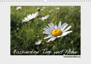 Faszination Tier und Natur (Wandkalender 2020 DIN A3 quer) von Harmelink,  Henning