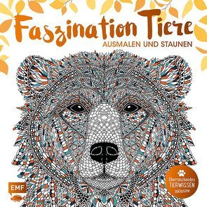 Faszination Tiere – Ausmalen und Staunen von Merritt,  Richard, Scully,  Claire