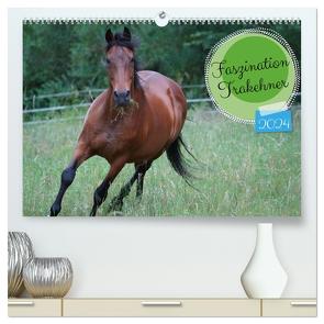 Faszination Trakehner (hochwertiger Premium Wandkalender 2024 DIN A2 quer), Kunstdruck in Hochglanz von Paul - Babett's Bildergalerie,  Babett